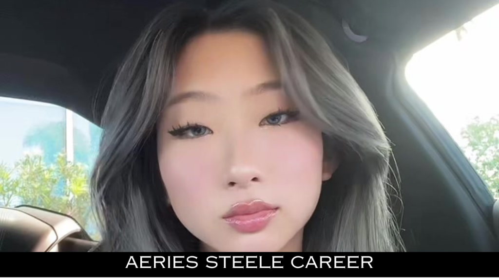 Aeries Steele Career